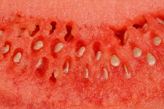 closeup on texture of watermelon