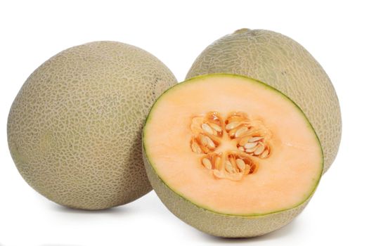 cantaloupe melon fruit, isolated on white background