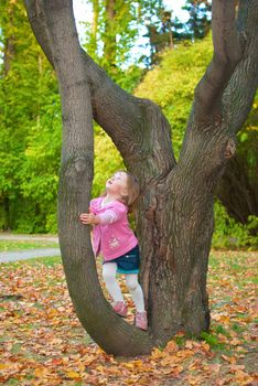 Little girl (3 years old) leaned to a tree and is looking up with surprise