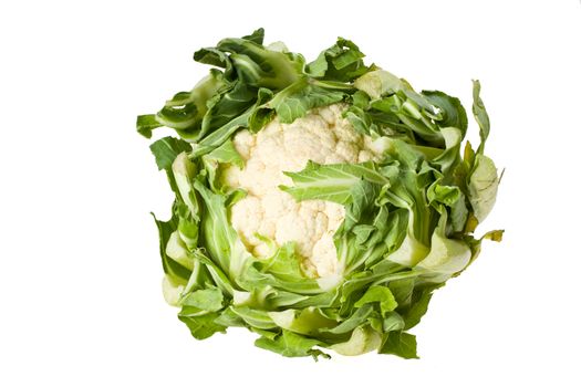 single cauliflower vegetable isolated on white