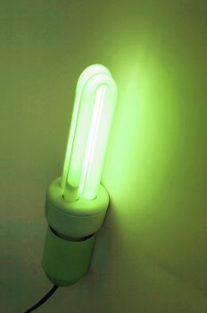 Compact fluorescent light bulb ecological low carbon