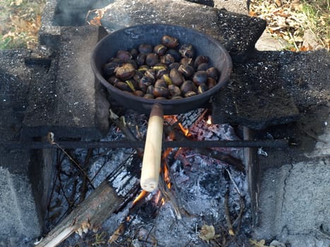 Barbecue BBQ