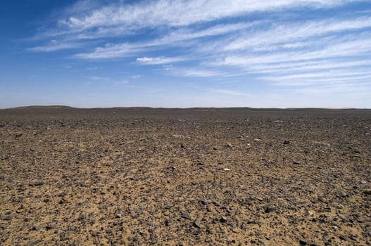 Flat Desert of
black stones - Sahara - Best of Morocco