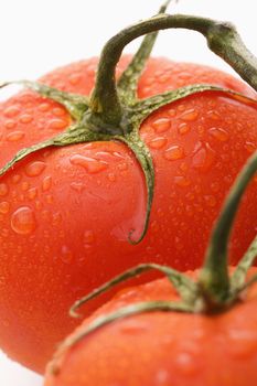 Close up of wet red ripe tomatoes against white background.