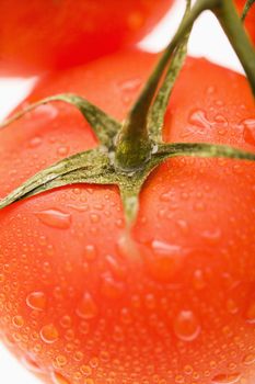 Close up of wet red ripe tomatoes against white background.