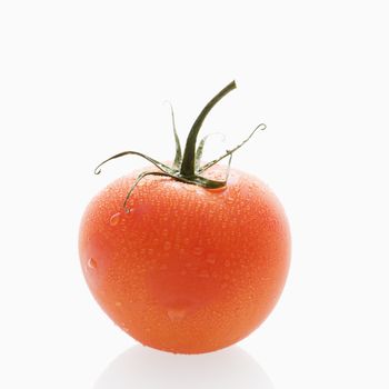 Still life of wet red ripe tomato against white background.