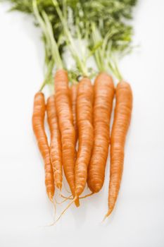 Bunch of orange carrots with green tops on white background.