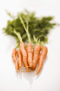 Bunch of orange carrots with green tops on white background.