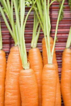 Close up of orange carrots with green tops against bamboo mat.