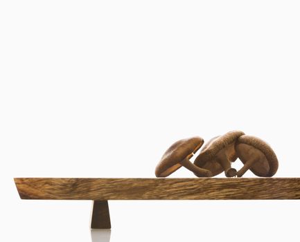 Three brown mushrooms on wooden cutting board with white background.