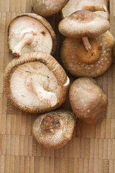 Pile of shiitake mushrooms on bamboo mat.