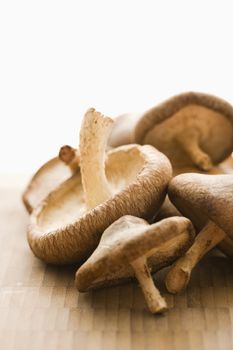 Pile of shiitake mushrooms on bamboo mat.