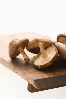 Pile of shiitake mushrooms on cutting board.