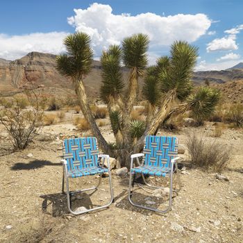 Empty plaid lawn chairs in desert landscape.