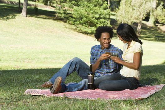 Couple having romantic picnic in park toasting wine.