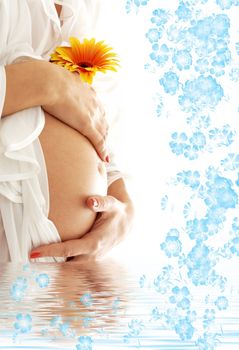 pregnant woman belly with flower in blue water