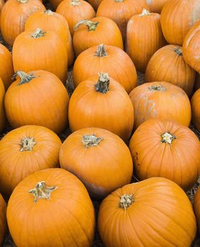 Group of pumpkins sitting on ground at farmers market.