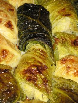 baked filled savoy cabbage rolls