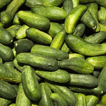 Pile of green cucumbers at produce market.