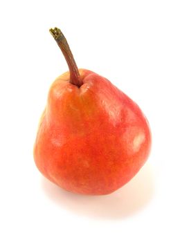 image of a red pear on a white background