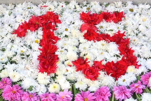Number 15 with flowers