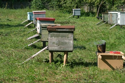 Several beehives at green grass