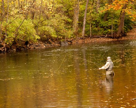 Angler fishing in a deep river in fall with the leaves changing colors