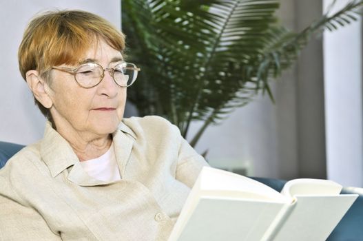 Elderly woman relaxing on couch reading a book