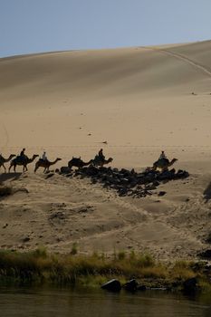 We take a closer look at life on Nile River on MAY 27, 2008, while having a felucca sailboat ride from Aswan to Elephantine Island and to a nubian village.