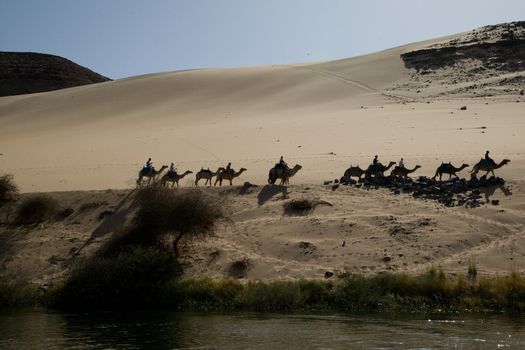 We take a closer look at life on Nile River on MAY 27, 2008, while having a felucca sailboat ride from Aswan to Elephantine Island and to a nubian village.