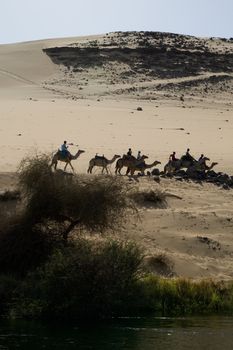 We take a closer look at life on Nile River on MAY 27, 2008, while having a felucca sailboat ride from Aswan to Elephantine Island and to a nubian village.