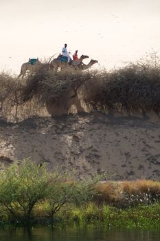 We take a closer look at life on Nile River on MAY 27, 2008, while having a felucca sailboat ride from Aswan to Elephantine Island and to a nubian village.