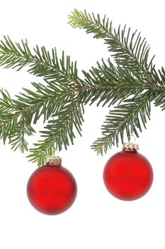 Christmas balls hanging in a christmas tree