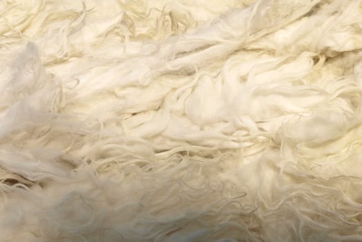 White sheep wool background material