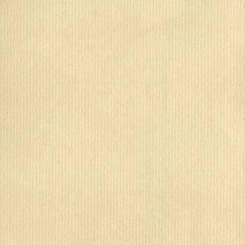 Blank sheet of brown paper