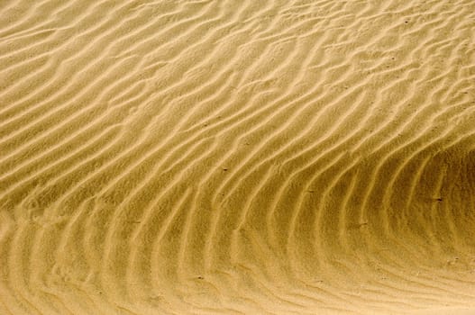 wave pattern background in the sand 