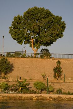 We take a closer look at life on Nile River on MAY 27, 2008, while having a felucca sailboat ride from Aswan to Elephantine Island and to a nubian village.