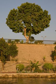 We take a closer look at life on Nile River on MAY 27, 2008, while having a felucca sailboat ride from Aswan to Elephantine Island and to a nubian village.