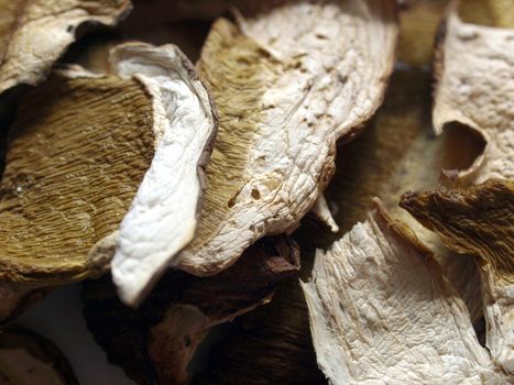Dried mushrooms