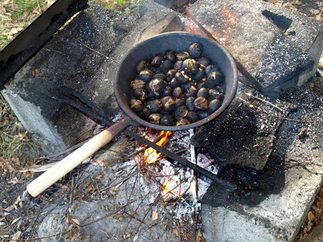 Barbecue BBQ