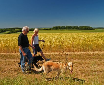 An elderly married couple taking their dogs for a walk
