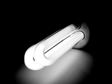 Compact fluorescent light bulb ecological low carbon