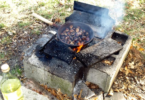 Barbecue or BBQ at picnic