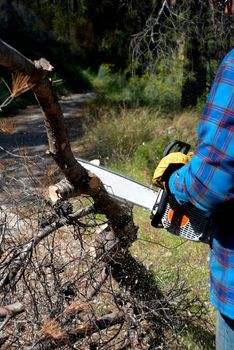 Lumberjack operating a chainsaw