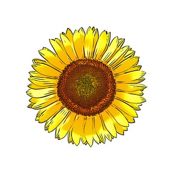 An image of a beautiful painted comic sunflower