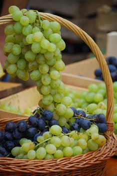 close up of the white and the dark wine grapes in basket
