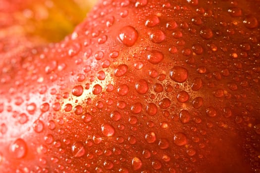 macro shot of fresh ripe apples washed with water