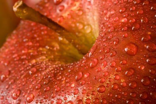 macro shot of fresh ripe apples washed with water