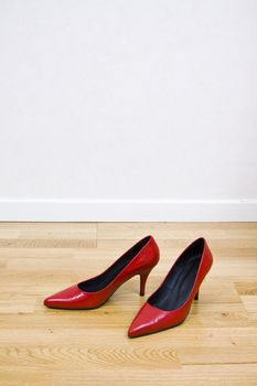 fashionable female shoes on wooden floor