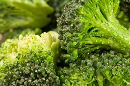 macro shot of water drops on fresh green broccoli